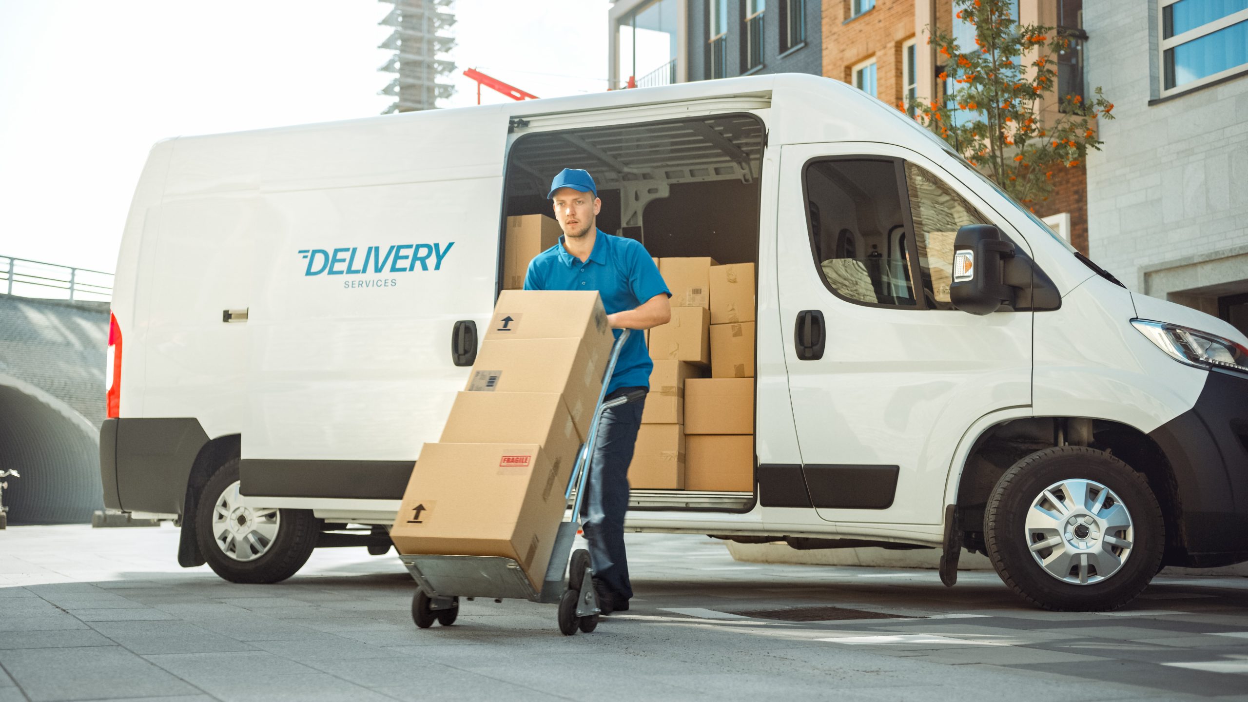 Freight Delivery Person With Van